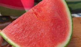 美帝吃瓜,揭秘美国政治的“吃瓜”现象