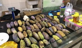 湖北利川吃瓜视频,一场别开生面的湖北乡村盛宴