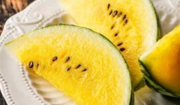 吃瓜大白39,一场关于瓜农生活的深度对话