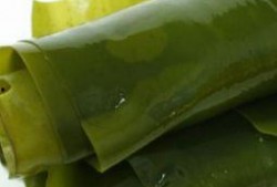 怀孕13周吃蜜瓜,13周蜜瓜营养之旅