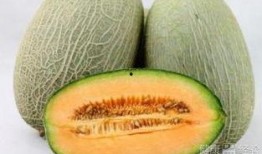哈密瓜内部裂开可以吃吗,仍可安心享用