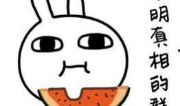 宝宝吃酥瓜搞笑文案,萌态百出，笑料连连