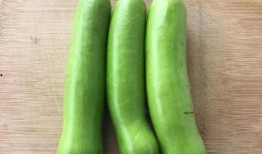 瓠子瓜怎么吃呀,瓠子瓜的多样食法探索