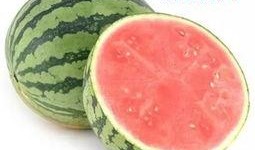 吃瓜秘诀全文,揭秘吃瓜秘诀全攻略