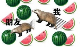 吃瓜top10,笑料百出！