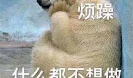 吃瓜群众图片亮点,捕捉生活中的趣味瞬间