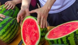 艺术大学吃瓜,揭秘校园里的“吃瓜”盛事