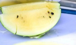 怪味吃瓜,揭秘瓜类美食的独特风味与制作技巧