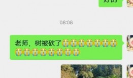 吃瓜小熊论文,揭秘网络时代下的娱乐现象与心理分析