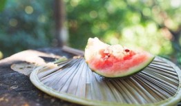 中国人吃瓜包饭,探寻中国独特的“吃瓜包饭”文化