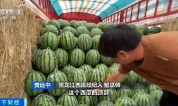 刘兰吃瓜,揭秘娱乐圈背后的秘密与真相