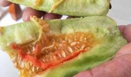 蒸着吃的黄色的瓜是什么瓜,家常美味，营养满分