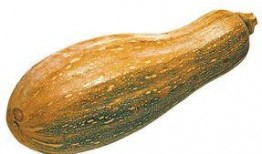 怎样吃方瓜,解锁健康美味的烹饪新境界