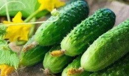 什么是吃瓜效应,网络舆论场中的围观力量