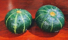 半个贝贝瓜怎么吃,半个贝贝瓜的多样食法探索