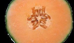 晚上女孩子吃哈密瓜,甜蜜哈密瓜的浪漫滋味