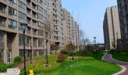 中央华庭吃瓜,揭秘豪宅里的吃瓜风云