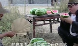 老板送几个瓜吃,共享夏日清凉时光