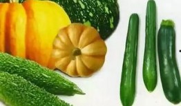 最近吃瓜吃多了,揭秘娱乐圈最新八卦风云