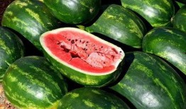 吃瓜的所有资料,揭秘网络热议背后的真相与趣味