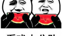 吃瓜看戏表情包兔子,兔子表情包演绎的欢乐时光