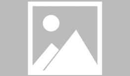 吃瓜三姐妹花,吃瓜三姐妹花的欢乐生活记