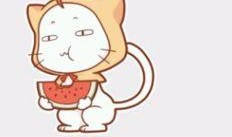 吃瓜看戏表情包兔子,兔子表情包演绎的欢乐时光