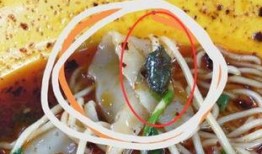 梦见瓜里面都是虫子吃的