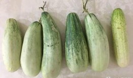 吃自己瓜,揭秘吃瓜群众的趣味生活