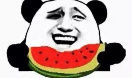 激动吃瓜特效片尾,一场视觉盛宴的幕后故事