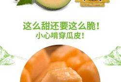 吃蜜瓜特写,夏日味蕾盛宴