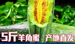 怀孕吃羊角蜜瓜,羊角蜜瓜的营养与食用指南