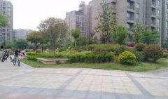 中央华庭吃瓜,揭秘豪宅里的吃瓜风云