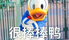 正义鸭鸭鸭吃瓜合集,揭秘娱乐圈幕后真相