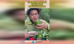 吃瓜东南亚,探寻“吃瓜”文化的独特魅力