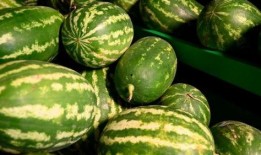 临夏饭店吃瓜事件,一场引发热议的餐饮冲突风波