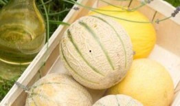 吃瓜二团,娱乐圈的“瓜田”风云录