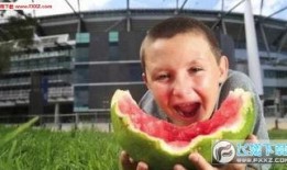 毛阿敏吃瓜表情包下载,网络热议不断