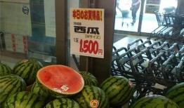 吃瓜东南亚,探寻“吃瓜”文化的独特魅力