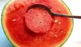 双倍珍珠吃瓜视频,揭秘幕后真相