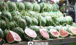 日常吃瓜网,吃瓜网带你领略明星幕后故事