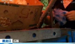 快穿嘎嘎吃瓜免费阅读,嘎嘎吃瓜，免费阅读之旅