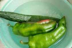 吃瓜嘴辣辣的,揭秘娱乐圈那些不为人知的幕后故事