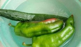 吃瓜嘴辣辣的,揭秘娱乐圈那些不为人知的幕后故事