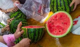 吃瓜大学宿舍,揭秘校园生活的欢乐与趣事