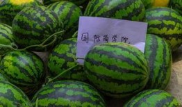 吃交瓜会发吗,真的会发吗？