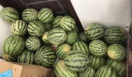 专门吃瓜群,网络社交新现象背后的故事