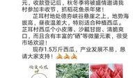 吃瓜助力骗局,揭秘网络诈骗新手段