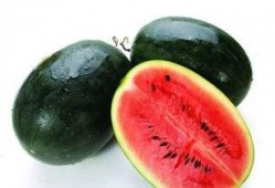 黑吃瓜网站推荐