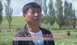 老王吃瓜影视,揭秘娱乐圈幕后故事